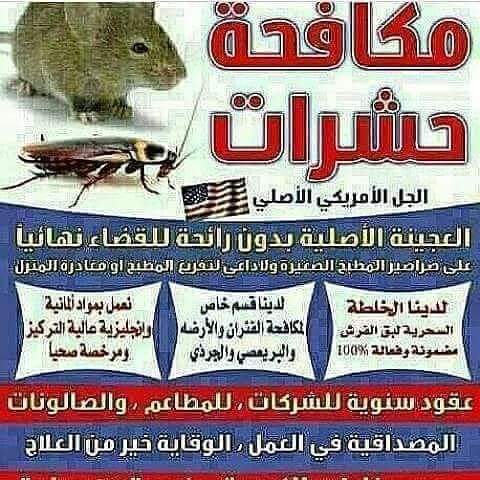 شركة رش دفان ومكافحة حشرات بجازان