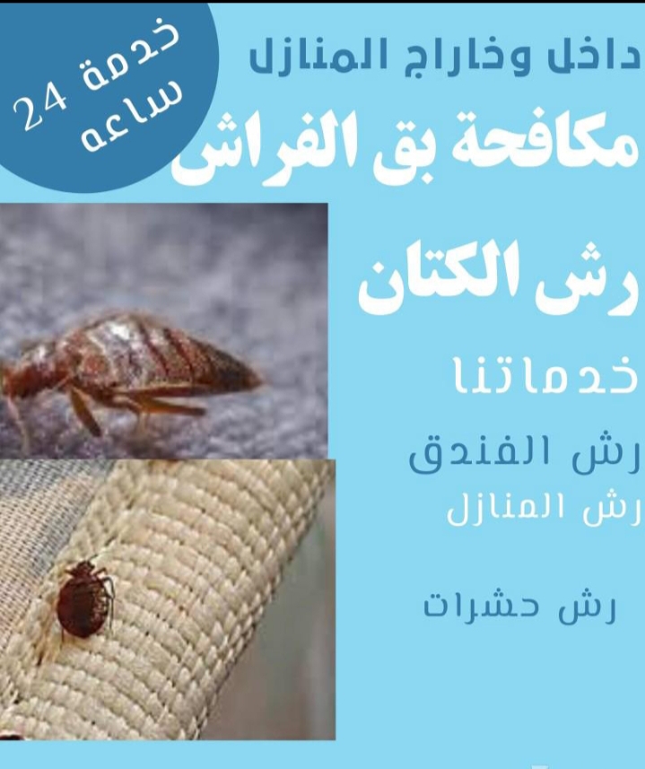 شركة رش دفان ومكافحة حشرات بجازان