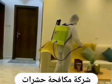 شركة مكافحة حشرات بالطوال