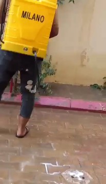 شركة مكافحة حشرات بالطوال 